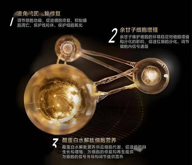 Oysho中国内地市场再遭重创 最后一家门店即将终止